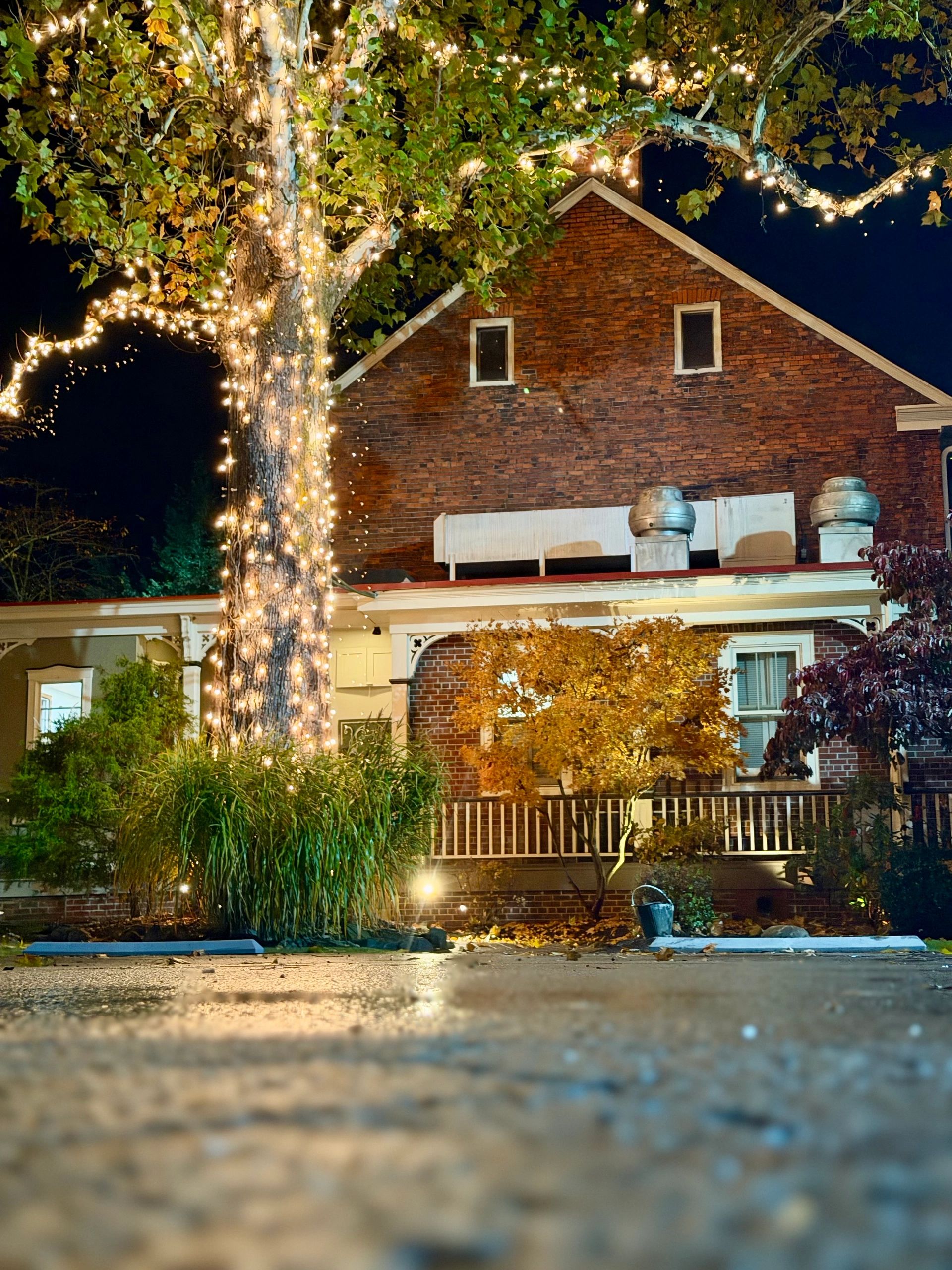 Seafood, American Cuisine, - The Back Porch Restaurant